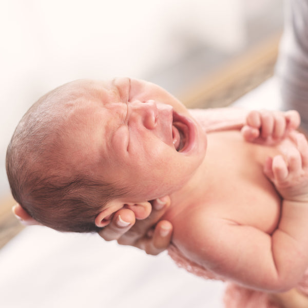 1 in 5 Newborn suffers from Colic